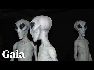 Face-to-Face Encounters with the Greys