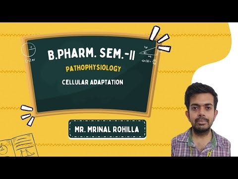 B.Pharm. Sem.-II | Pathophysiology | Cellular Adaptation