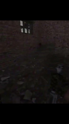 S.T.A.L.K.E.R Memes from the Zone