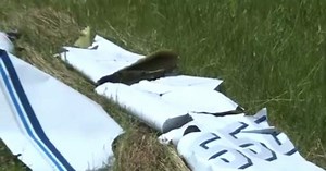 Cessna plane fell apart in the air, 6 dead