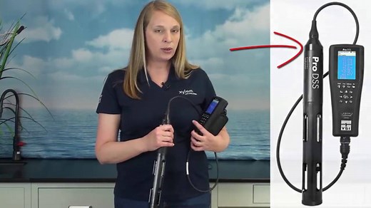 ProDSS Introduction: System Overview