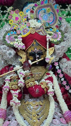 संध्या आरती दर्शन - 02/04/26 🌼🌸🦚 #vrindavan #shyamdarshan #shyam #vrindavanmarg #livedarshan