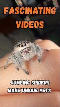 interesting videos You’ve Never Seen Before From Around the World