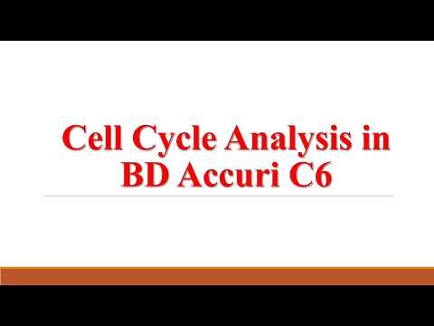 Cell Cycle Analysis in BD Accuri C6