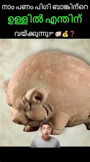 #jaidmeel #malayalam Why Is It Called a PIGGY Bank? The 500-Year-Old Truth!