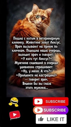 #смех #прикол #юмор #мем #смехпродлеваетжизнь #смешновидео #шуточное #анекдоты #смешнойшортс #мемас