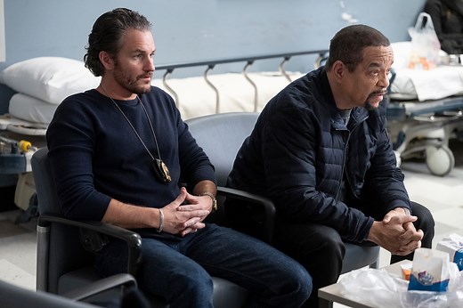 All About Terry Bruno, Law & Order: SVU's New Detective