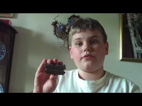 Monsters vs Aliens Insectosaurus toy review