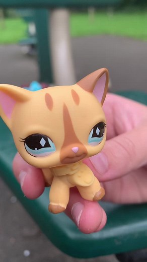 AliceLPS_Official on TikTok