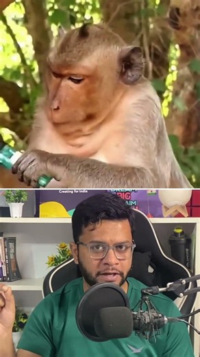 What Happened to This Monkey 🐒 #facts