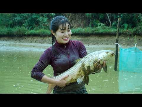 Swamp Fishing After 10 Years – A Giant Catch