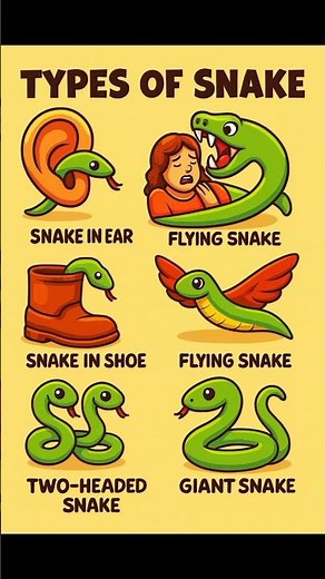 🌍 TYPES OF SNAKE 🐍|| part=1