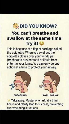 FUNCTION OF EPIGLOTIS.
