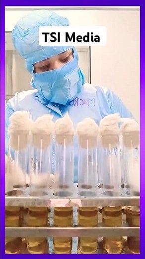 TSI Media Preparation