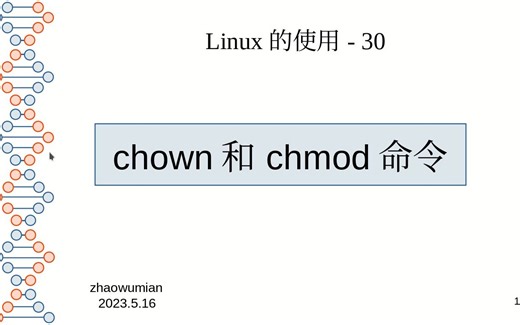 30-linux的使用-chown-chmod命令