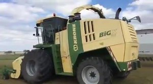 11K views · 310 reactions | Chopping 1 st cutting alfalfa Haylage nice crop with 1.4 tons dry matter per acre We plan to harvest 500 acres per day for next four days | Drumgoon Dairy | Facebook