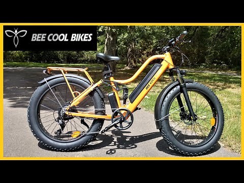 Bee Explorer Overview -- Bee Cool Bikes