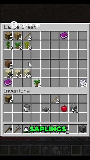 Minecraft Chest Organization Dark Oak Saplings and Growth Explained!