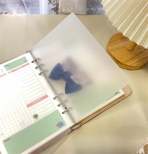 Frosted Binder Dividers: Transparent Plastic Page Separators (A5 A6), FREE Shipping - Etsy