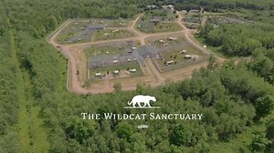 4.3K views · 326 reactions | This was made a year ago and already so...