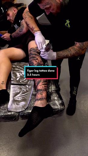 Tiger leg tattoo done in 3.5 hours no numbing cream queen #legtattoo #uktattooartist #tigertattoo #tattoos #fyp #numbingcream #tigerking #tattootiktok
