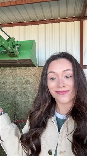 #horsegirlvibes #horses #horsetok