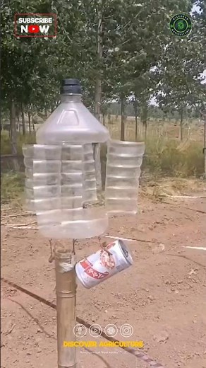 Homemade Bird and Wild Animal Repellent System 😇