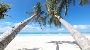 56K views · 1.2K reactions |...