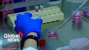 Canada cold case: Toronto police identify suspect in 1982 murder through DNA technology - The Global Herald