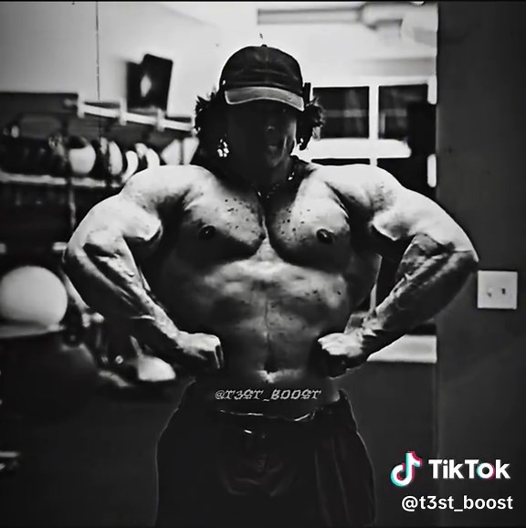 Understanding the Role of Testosterone in Gym Performance