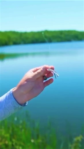 The Ultimate Small Googan Jig Head for Fishing