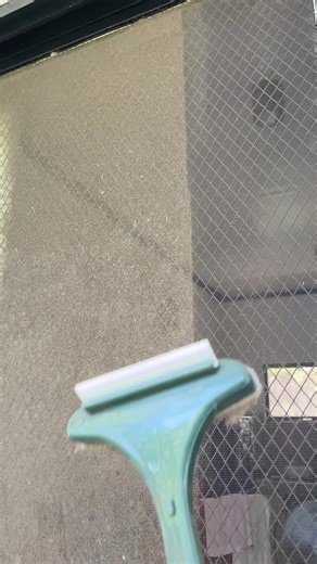 Effortless Cleaning with the 2 in 1 Window Screen Door Cleaner