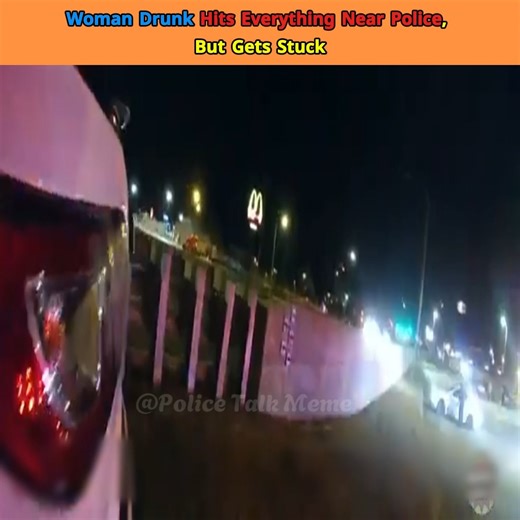143K views · 2.3K reactions | Woman Drunk | Police Talk Meme | Facebook