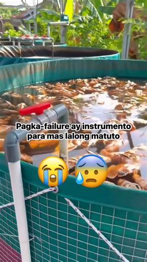 3.1K views · 12 reactions | Something Fishy on Reels | Facebook