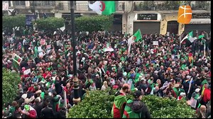 30K views · 1K reactions | Algérie: Cinquième vendredi de mobilisation contre le régime et contre le prolongement du mandat de Bouteflika. Marée humaine dans les rues d'Alger. | Berbère Télévision | Facebook