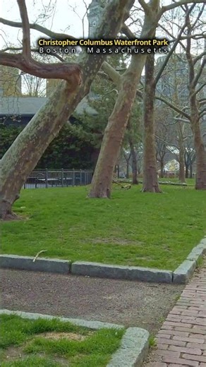 Christopher Columbus Waterfront Park Walk | Boston, MA