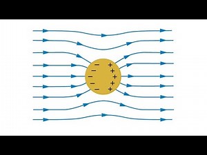 Watch how to sign 'polarization' in American Sign Language.