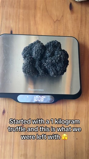 Discovering the Secrets of Our 1 Kilogram Truffle