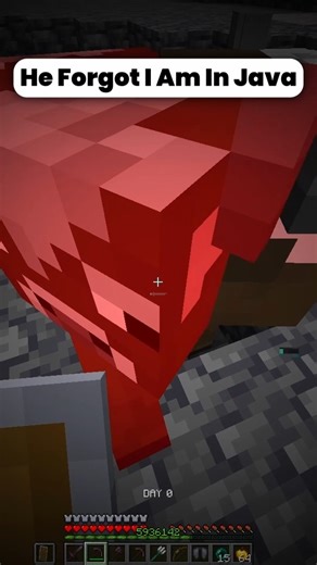 He Forgot I am in Java!! #minecraft