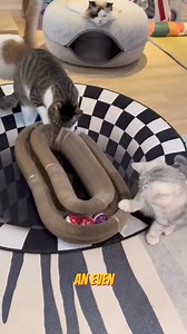 12 reactions | Imagine being home alone all day bored out of your...