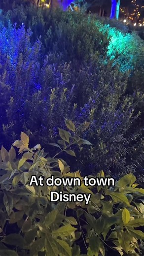 #downtowndisneyanaheim #PaidPartnership #fyp #fypage #fyp
