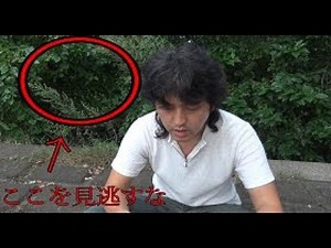 "Bear Attack"イケメンが羆に食べられた動画 ヒグマが人を襲う瞬間 ОSО18 過去最多ペース更新 駆除 冬眠しない 穴持たず熊