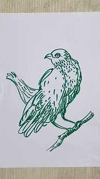 From Sketch to Masterpiece: Bird Art Drawing Journey