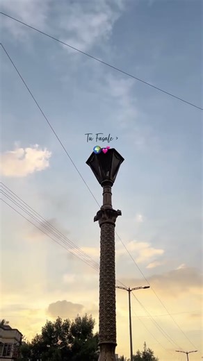 Tu fasale 🌼🕊️ | Hindi song lyrics | Asethetic/lofi song |Whatsapp| #shorts #trending