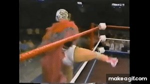 LPWA Wrestling: Denise Storm vs. Magnificent Mimi on Make a GIF