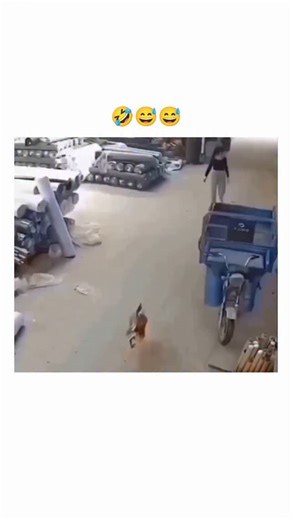 Blackpetra on Instagram: "The post shares a viral clip of two women in an industrial yard futilely chasing a flapping chicken, synced to the dramatic lyrics of Linkin Park's "In the End," amplifying the mundane mishap into epic comedy. As a signature "no context" meme from @nocontextmemes , it exploded to 41K likes and 1.6M views in under 24 hours, drawing replies blending KFC puns, rooster GIFs, and mock outrage over "animal torture." This format taps into schadenfreude and anthropomorphism, tu
