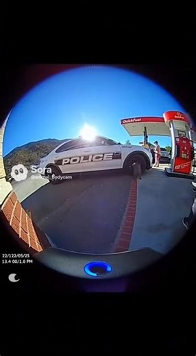 Turtle Steals Cop Car ‍️ #TurtleOnTheLoose #PolicePursuit #Wildlife