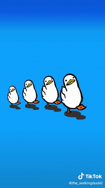 Ducc #walkingduckmeme #walkingduck the ducc gang🥶