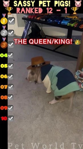 SO DRAMATIC! 😱 Funny Pigs Ranked #shorts