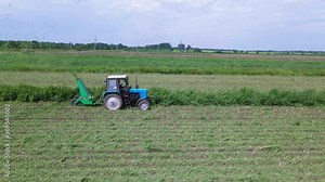 Tractor drives through the field and collecting and baling silage, grass and tops after harvesting on countryside. Equipment and machines for agricultural industry. Stock Video